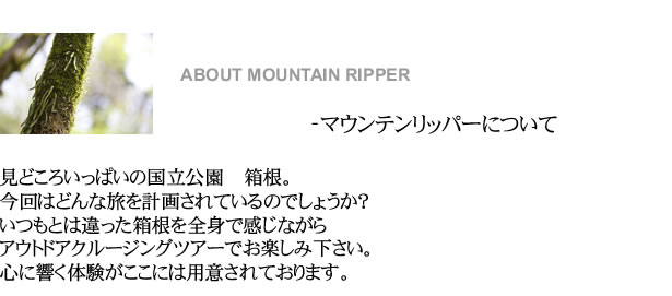 ABOUT  MOUNTAIN RIPPER マウンテンリッパーについて 見どころいっぱいの国立公園　箱根。今回はどんな旅を計画されているのでしょうか？いつもとは違った箱根を全身で感じながらアウトドアクルージングツアーでお楽しみ下さい。心に響く体験がここには用意されております。