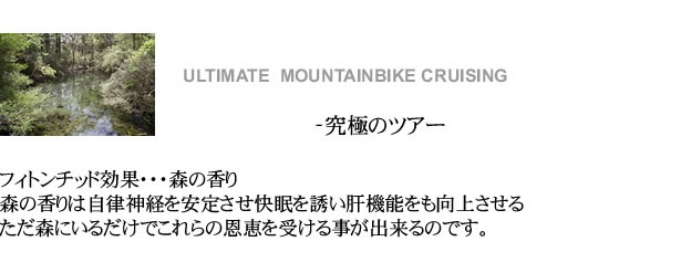 究極のツアー フィトンチッド効果・・・森の香り 森の香りは自律神経を安定させ快眠を誘い肝機能をも向上させる　ただ森にいるだけでこれらの恩恵を受ける事が出来るのです