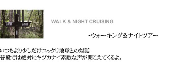 ウォーキング＆ナイトツアー WALK & NIGHT CRUISING いつもより少しだけユックリ地球との対話 普段では絶対にキヅカナイ素敵な声が聞こえてくるよ。