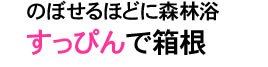 のぼせるほどに森林浴 すっぴんで箱根